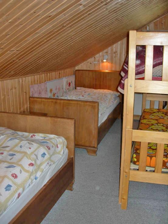 Apartments Dr. Med. Vet. Tempelman Ιντερλάκεν Εξωτερικό φωτογραφία