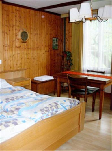Apartments Dr. Med. Vet. Tempelman Ιντερλάκεν Δωμάτιο φωτογραφία
