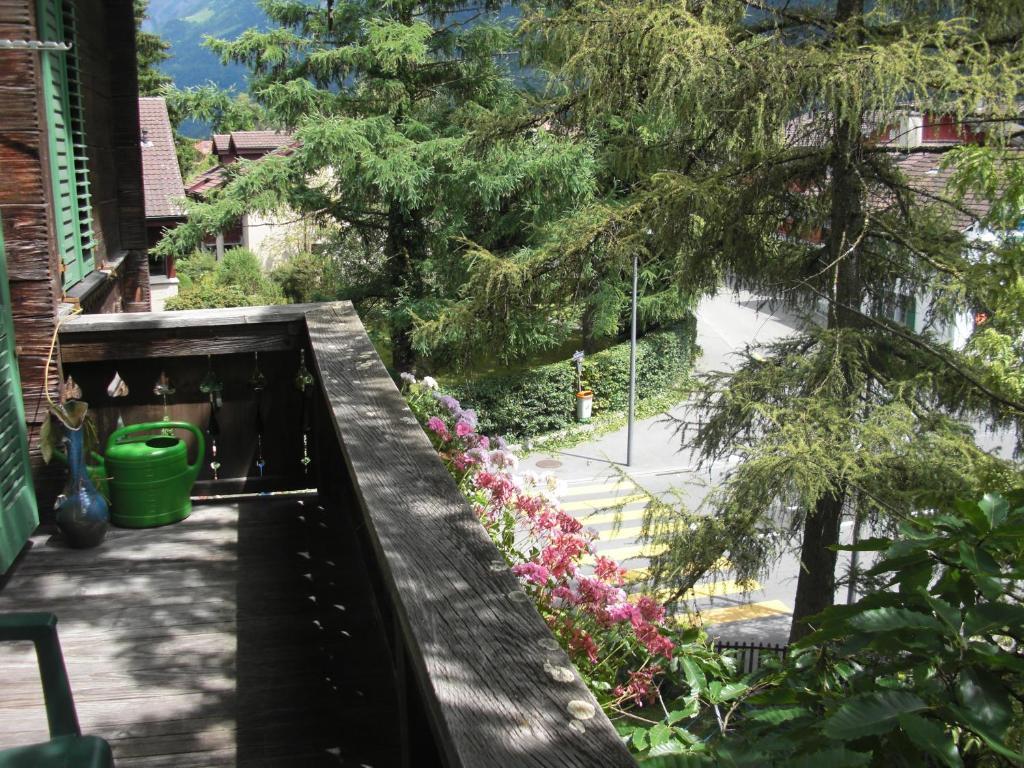 Apartments Dr. Med. Vet. Tempelman Ιντερλάκεν Δωμάτιο φωτογραφία